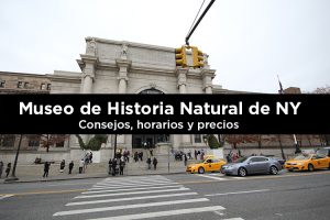 Museo de Historia Natural de Nueva York