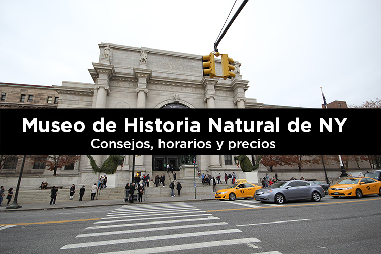 Museo de Historia Natural de Nueva York: consejos, horarios y