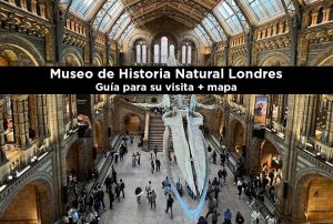 Sala central con esqueleto de ballena en el Museo de Historia Natural de Londres