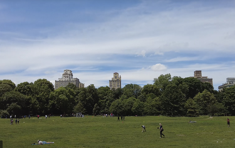 Prospect Park Brooklyn