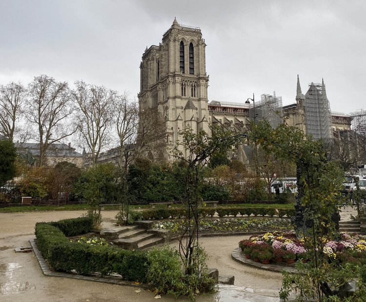 vistas de notre dame desde la plaza rené viviane