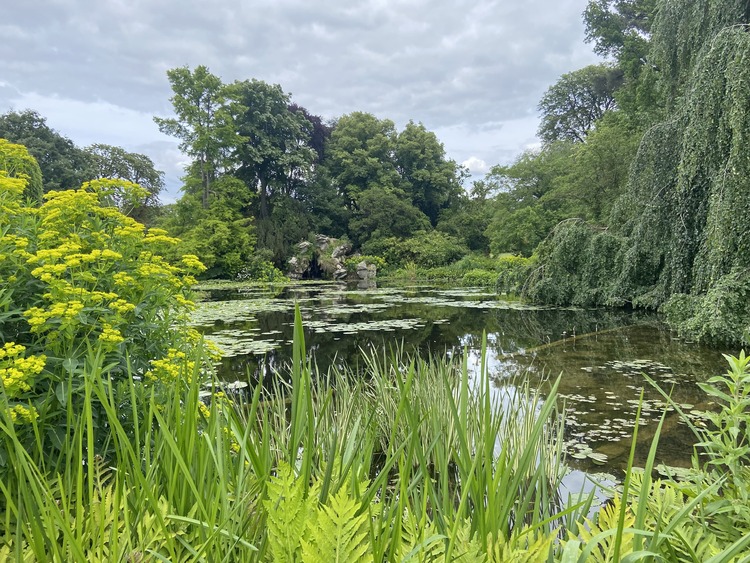 lago y árboles en el parque bois de boulogne