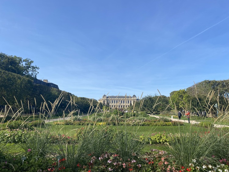 plantas del jardin botánico y el edificio del museo de historia al fondo