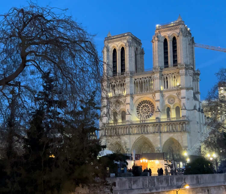 catedral de notre dame iluminada