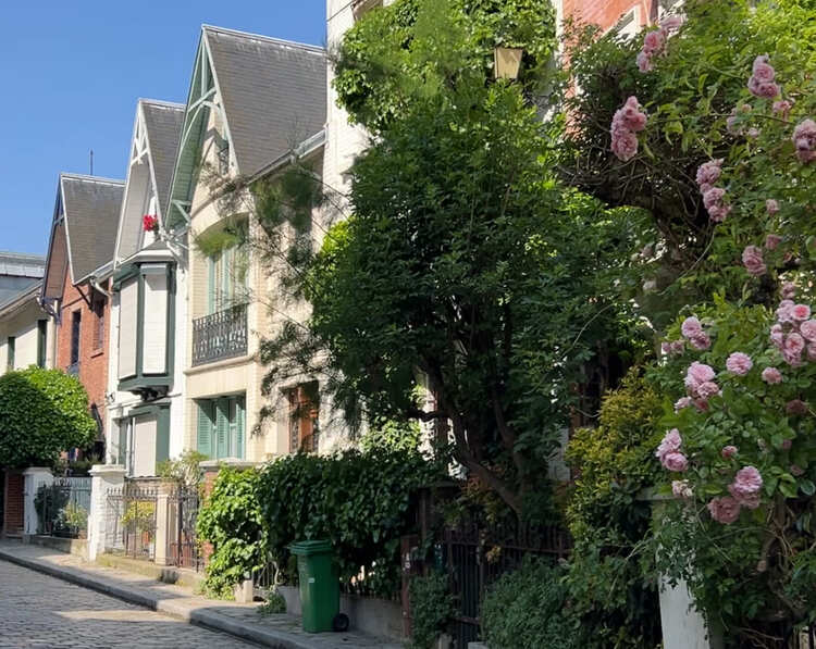 casas con flores y plantas