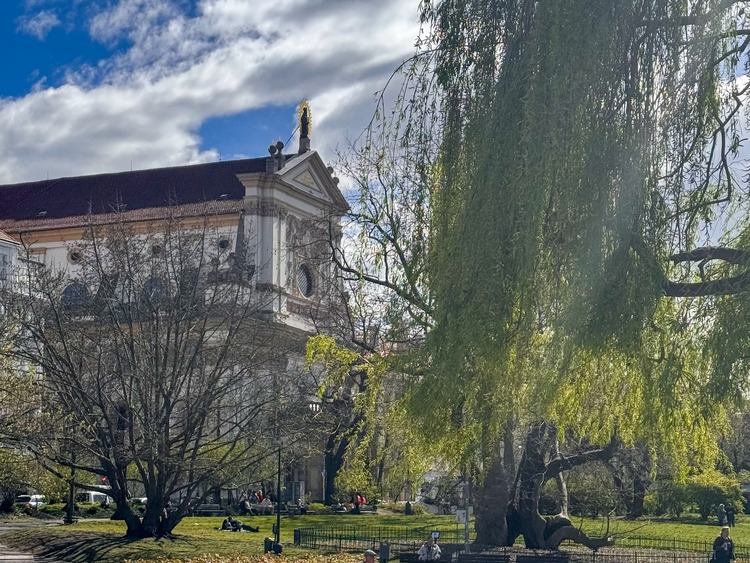 plaza de carlos Praga