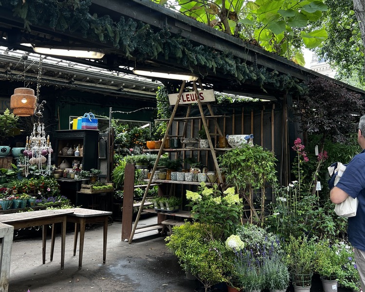 un puesto de plantas en el mercado de flores de París