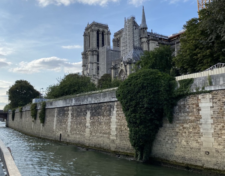 vista de Notre Dame desde el barco en el Sena